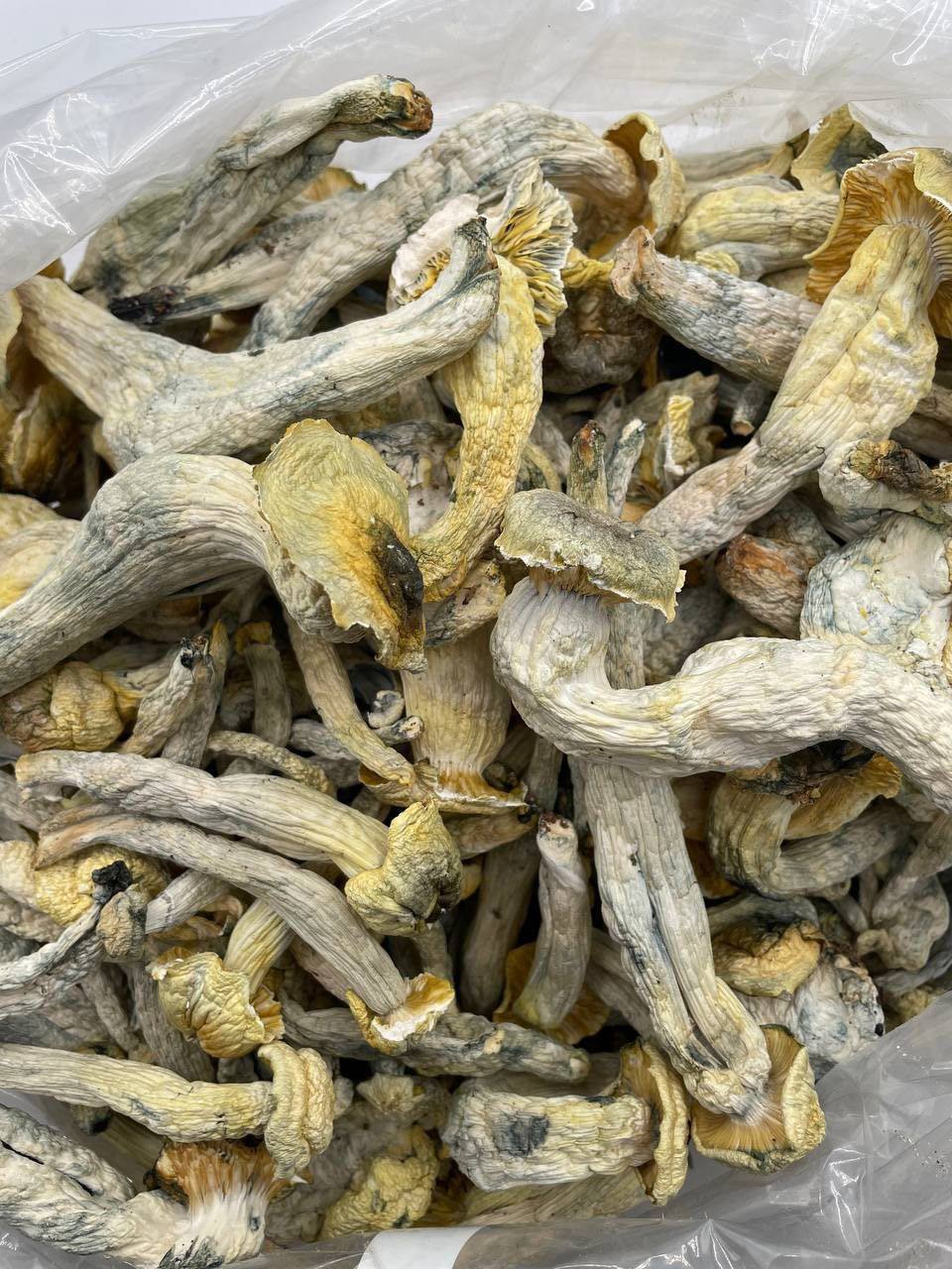 Albino mushrooms ounce(28g)