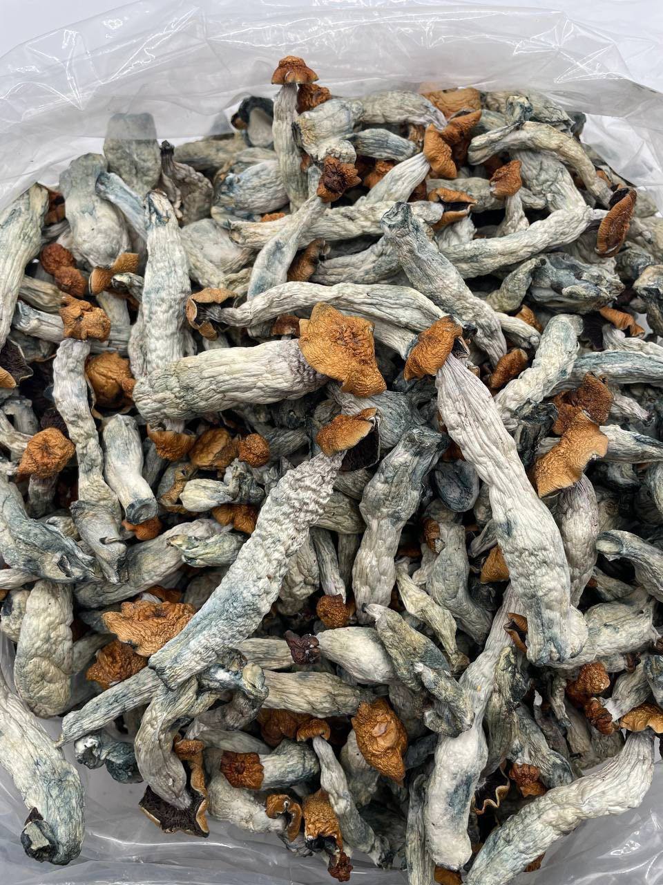 Mazapatec Ounce(28g)