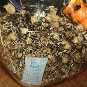 Liberty cap