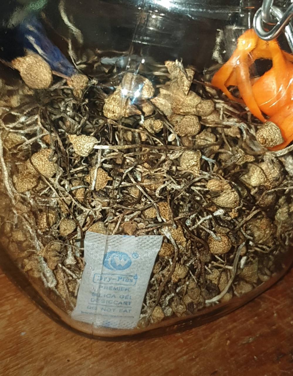 Liberty cap